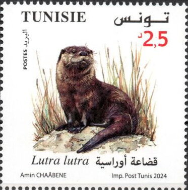 Animaux en danger d’extinction - Lutra lutra (Loutre d'Europe)